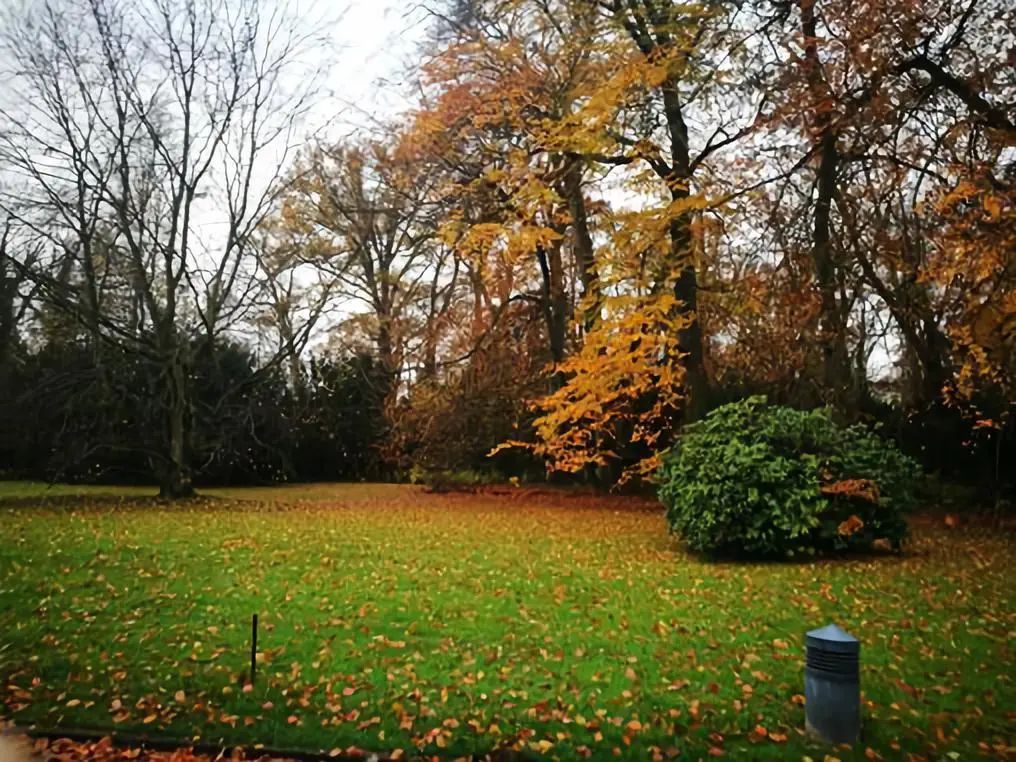 1641279273752101.jpg 微信圖片19_20220104111837.jpg